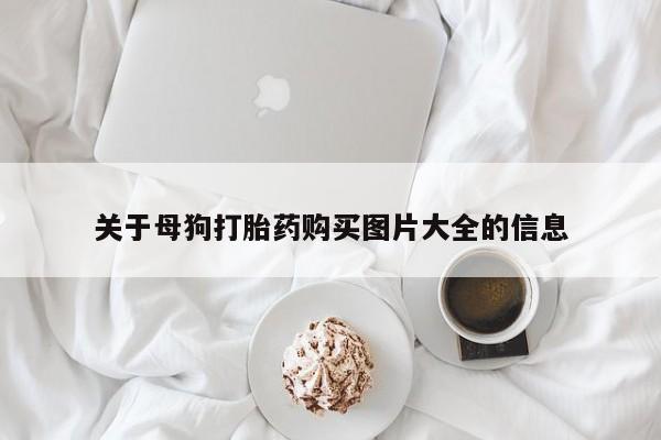 流产药专卖微信关于母狗打胎药购买图片大全的信息